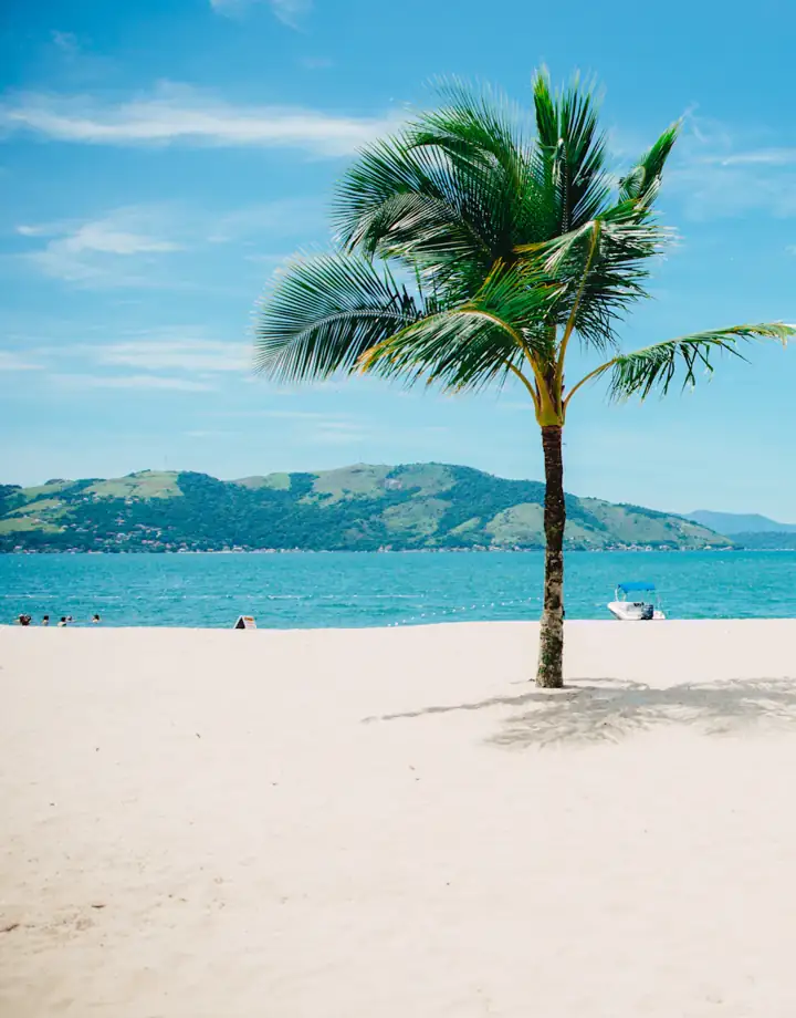 Praia de areia branca com coqueiro e quiosque